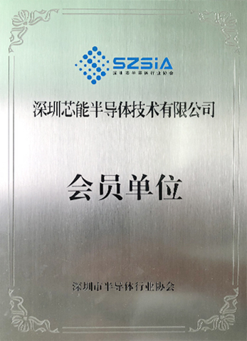 Member of the semiconductor association